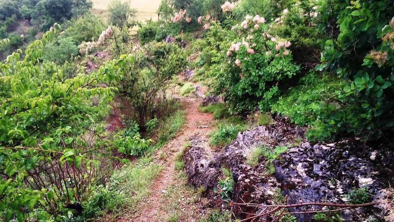 Una Canyon Paradise Bihać Kültér fotó