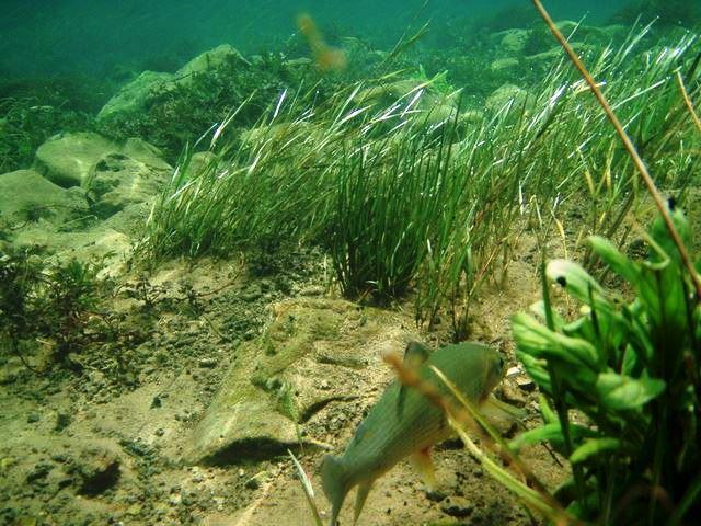 Una Canyon Paradise Bihać Kültér fotó