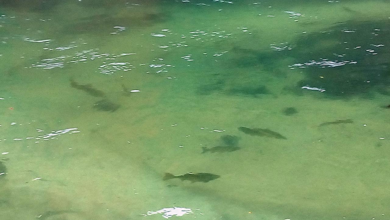 Una Canyon Paradise Bihać Kültér fotó