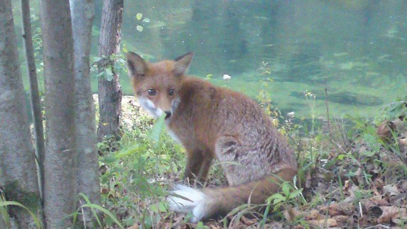 Una Canyon Paradise Bihać Kültér fotó